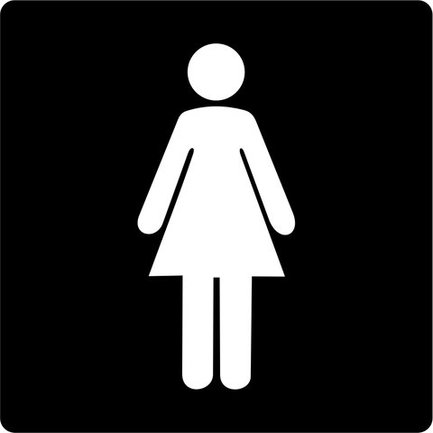 Placa Banheiro Feminino 15x15 Acrílico