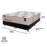 Cama Box Preto e Colchão Queen Gran Paladium Molas Lfk Sealy - 3