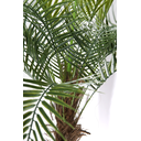 Ver imagem 2 de Planta Artificial Palmeira Fênix Coqueiro Premium 1,9m