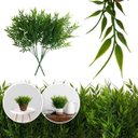 Ver imagem 1 de 10 Buquês de Planta Artificial Realista Ideal para Decoração de Interiores