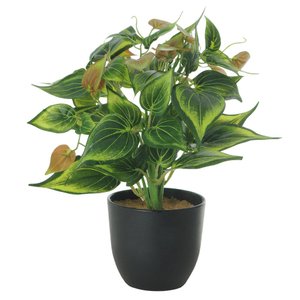 Vaso com Flor Artificial Verde 22 cm - D'Rossi DRossi