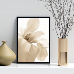 Quadro Decorativo Flor Bege Fundo Branco 45x34cm:madeira Preta
