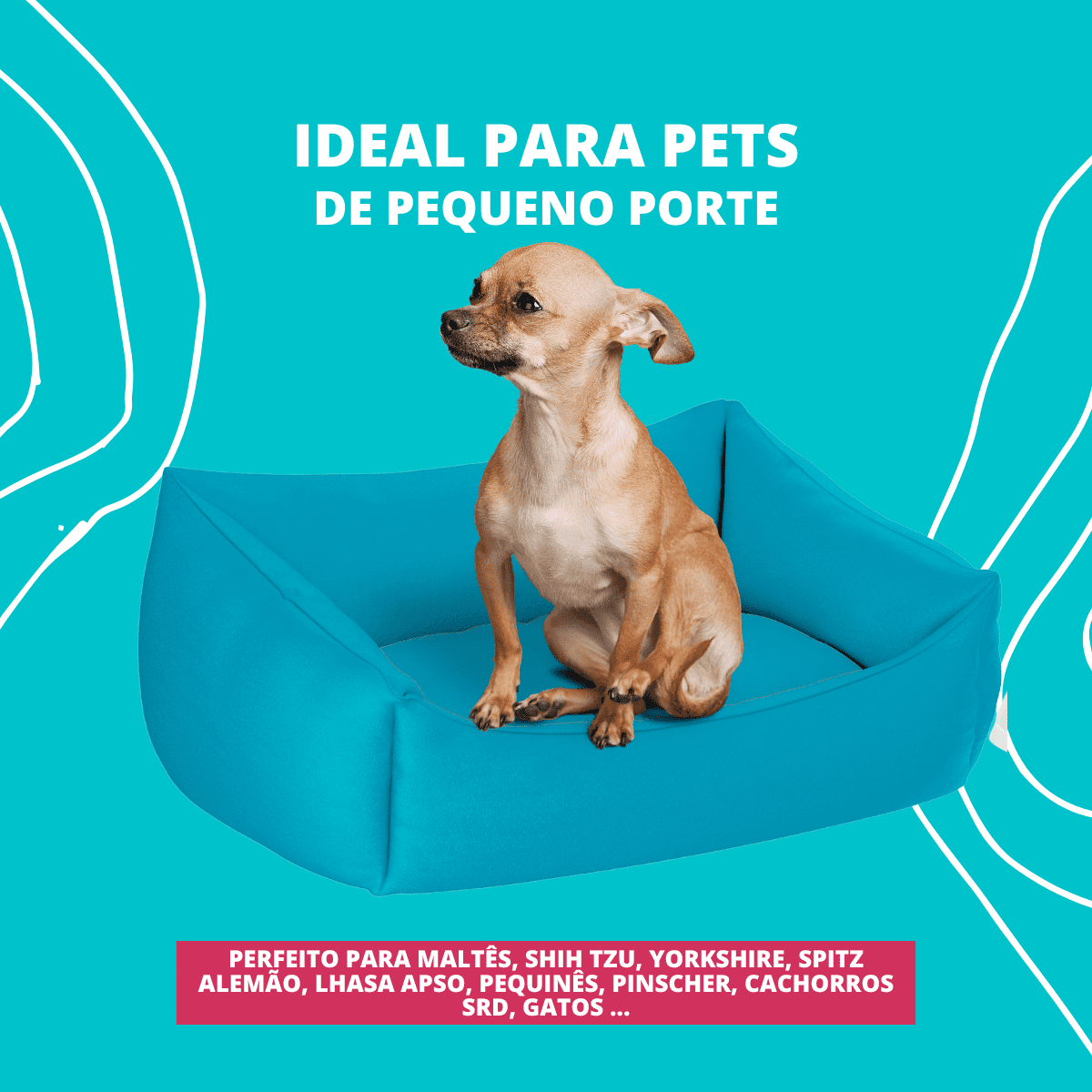 Kit Pet Com Cama Cachorro Gato M 57X37 Mais Lindo Da Casa - 2