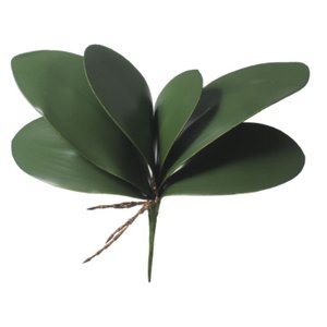 FOLHA ORQUIDEA PHALAENOPSIS C/ARAME X6 (VERDE) 33cm (FLORARTE)