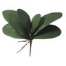 FOLHA ORQUIDEA PHALAENOPSIS C/ARAME X6 (VERDE) 33cm (FLORARTE) - 1