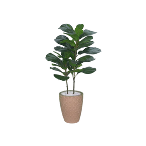 Planta Árvore Artificial Ficus Lyrata Real Toque Verde 1m Kit + Vaso E. Bege 30 cm