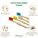 Ver imagem 2 de Kit de 4 Escovas de Dente Ecológicas de Bambú Nacional Ekological