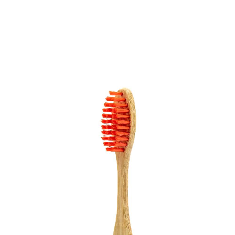 Kit de 4 Escovas de Dente Ecológicas de Bambú Nacional Ekological - 5