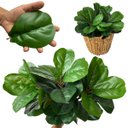 Ver imagem 3 de Kit 18 Mini Árvores Ficus Artificial 45cm para Vasos Decorativos, Folhagem Durável, sem Manutenção