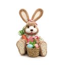 Ver imagem 1 de Coelha Sentada C/cenoura Cesto de Ovos e Flores Happy Sunday