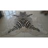 Tapete de Couro Natural  Zebra 1,90x1,80m - 2