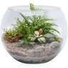 Vaso Aquario Redondo Gigante 9,8 L Decoração em Vidro - 2