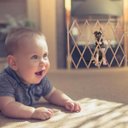 Ver imagem 6 de Portao Retratil Cachorro Pet Coelho Criança Bebe Grade Safonada Bambu Ajustavel Cercadinho Barrament