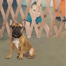 Portao Retratil Cachorro Pet Coelho Criança Bebe Grade Safonada Bambu Ajustavel Cercadinho Barrament - 8