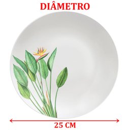 Kit Jogo de Prato Raso Jantar 10pçs 10 Pessoas Graziela 25cm - 5