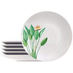 Kit Jogo de Prato Raso Jantar 10pçs 10 Pessoas Graziela 25cm - 3
