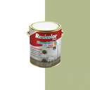 Ver imagem 2 de Esmalte Color Extra-rápido Verde Primavera 900ml | Resicolor