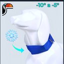 Ver imagem 3 de Coleira Gelada Premium:azul/g