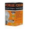 Kit 2 Lampada Halogena Classica 70w 220v Foxlux - 3