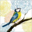Ver imagem 1 de Mandala Bird I Canaleta 60x60cm Preta