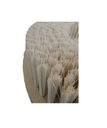 Ver imagem 2 de Escova NYLON 350 mm SEM Flange Para Enceradeiras CLEANER. Allclean e Bandeirantes Entre Outras