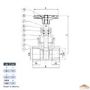 Ver imagem 3 de Registro Gaveta 1.1/2 Padrão Saneamento Nbr 14580 Latão Forjado Niquelado Industrial Ivm Italy