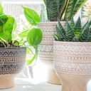 Ver imagem 3 de Cachepot de Cerâmica Natural C/branco Nicol - 16x19