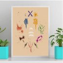 Ver imagem 1 de Quadro Decorativo Os Orixás 33x24cm:Madeira branca