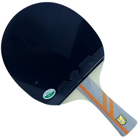 Raquete Ping Pong 5 Estrelas Tenis de Mesa Profissional Equilibrada Confortavel Versatil Esporte Rec
