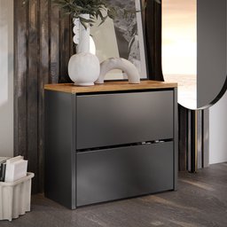 Sapateira Banco Organizadora 2 Portas Basculantes Hall de Entrada Closet Mel - Preto com Freijó - 1