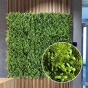 Ver imagem 5 de 25 Quadros Verdes Artificiais Folhagem Mista Linha Premium Cobertura Completa para Parede Verde