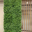 Ver imagem 6 de 25 Quadros Verdes Artificiais Folhagem Mista Linha Premium Cobertura Completa para Parede Verde