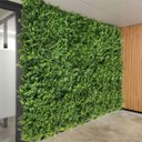 Ver imagem 1 de 25 Quadros Verdes Artificiais Folhagem Mista Linha Premium Cobertura Completa para Parede Verde