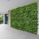 Ver imagem 1 de 16 Painéis para Parede Verde Artificial Jardim Vertical Aspecto Natural Placas 60x40cm Premium