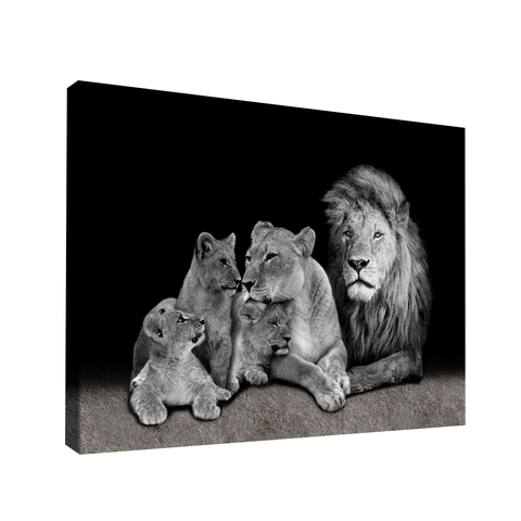 Quadro Perfect Family -- BR ARTES Médio 84x54