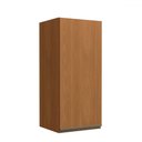 Ver imagem 1 de Armário Aéreo Cozinha 40 Cm Mônica 1 Porta Canela - Kappesberg