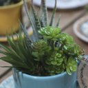 Ver imagem 2 de Xicara Vasinho de Suculentas Arranjo Decorativo Artesanal