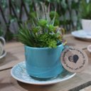 Ver imagem 3 de Xicara Vasinho de Suculentas Arranjo Decorativo Artesanal