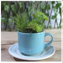 Ver imagem 1 de Xicara Vasinho de Suculentas Arranjo Decorativo Artesanal