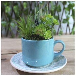 Xicara Vasinho de Suculentas Arranjo Decorativo Artesanal