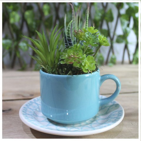 Xicara Vasinho de Suculentas Arranjo Decorativo Artesanal