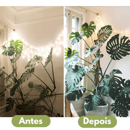 Tutor de Plantas de Fibra de Coco Estaca Flexível 80cm - 2