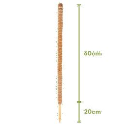 Tutor de Plantas de Fibra de Coco Estaca Flexível 80cm - 3