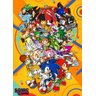 Placa quadro decorativo A3 - 30 x 42 Sonic - 1