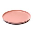 Ver imagem 1 de Prato Eco Friendly M Rosa Planck