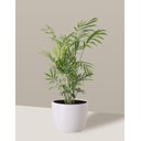 Ver imagem 7 de Vaso Cachepô de Cerâmica para Plantas Branco P