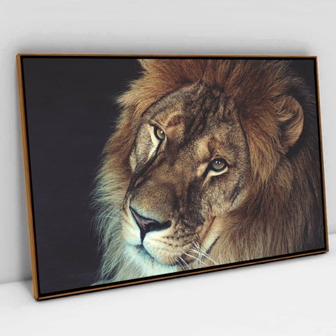 Quadro Decorativo em Canvas A Face do Leão TaColado Moldura Flutuante 4,5cm Freijó 120 x 80cm