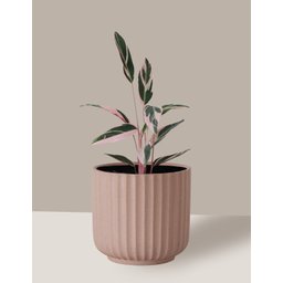 Vaso Cachepô de Cerâmica para Plantas Camurça ME - 4