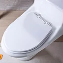 Ver imagem 6 de Tampa de Vaso em MDF Absolute Branco para bacia Ideal Standard