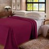 Manta Casal Solteiro Jolitex 100% Poliéster Para Masculino Feminino Quarto Sala Sofá Dyuri Vinho - 2